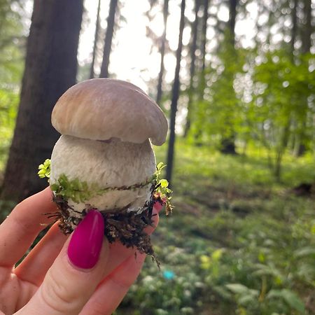 Apartament Beztroski Ustrzyki Dolne Esterno foto